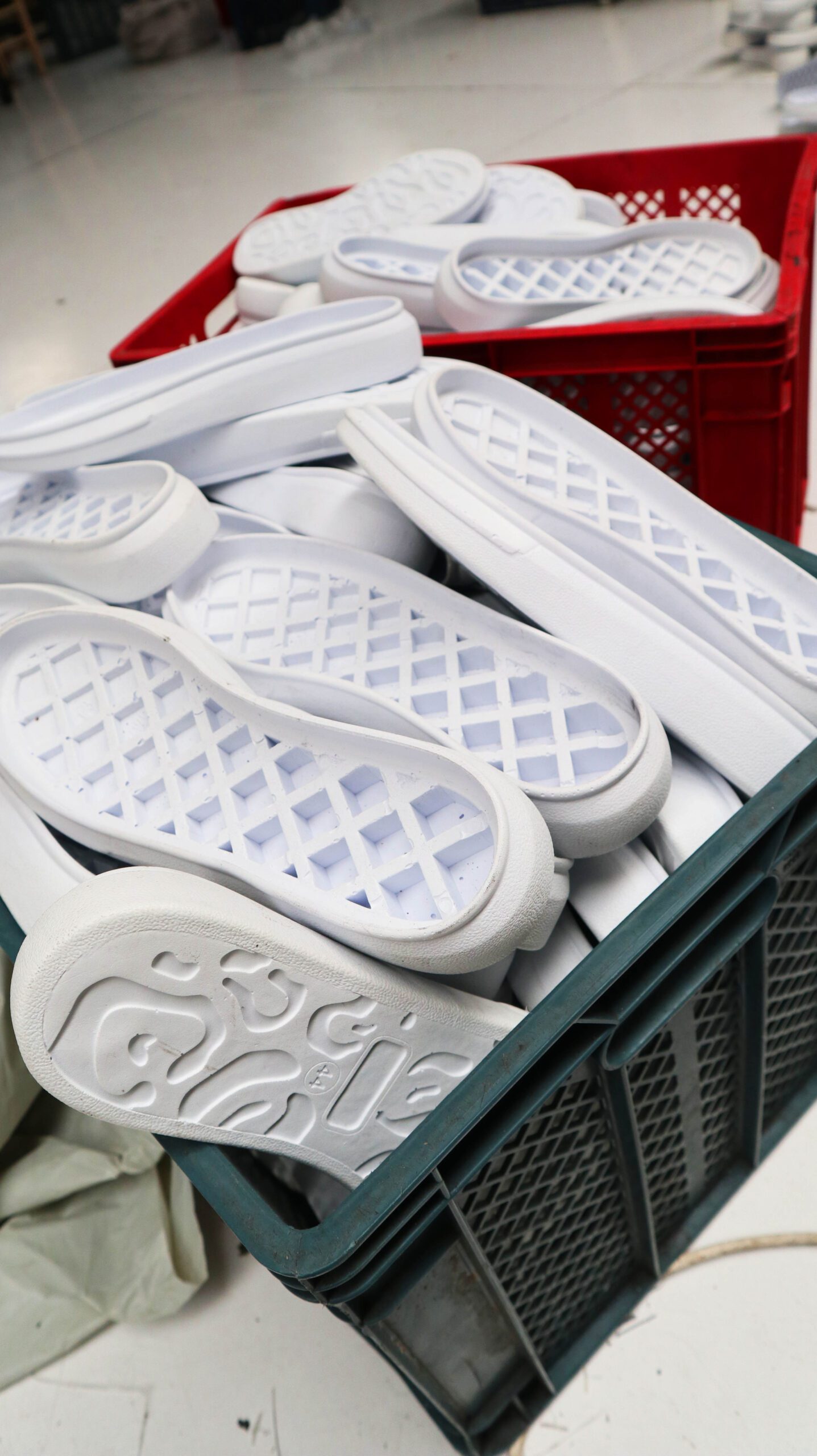 Tarakji̇oğlu Terli̇k