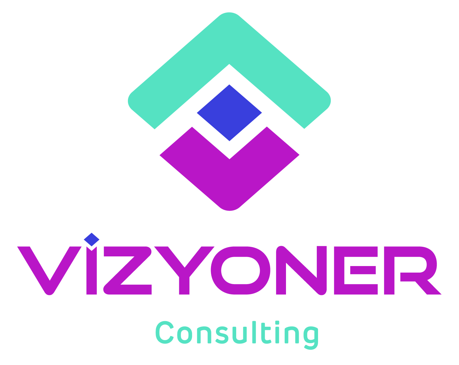 Vizyoner Consulting