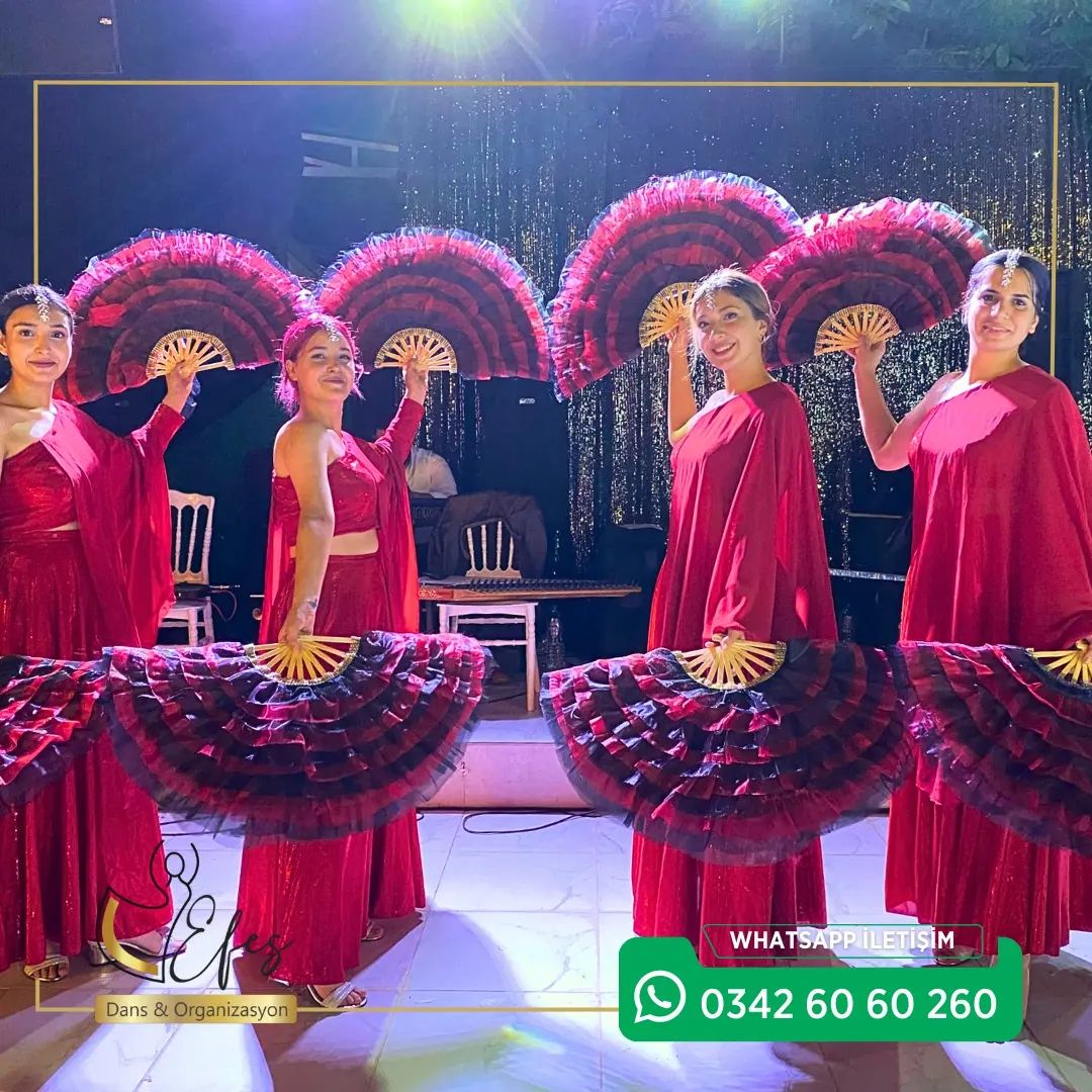 Efes Dans Organizasyon